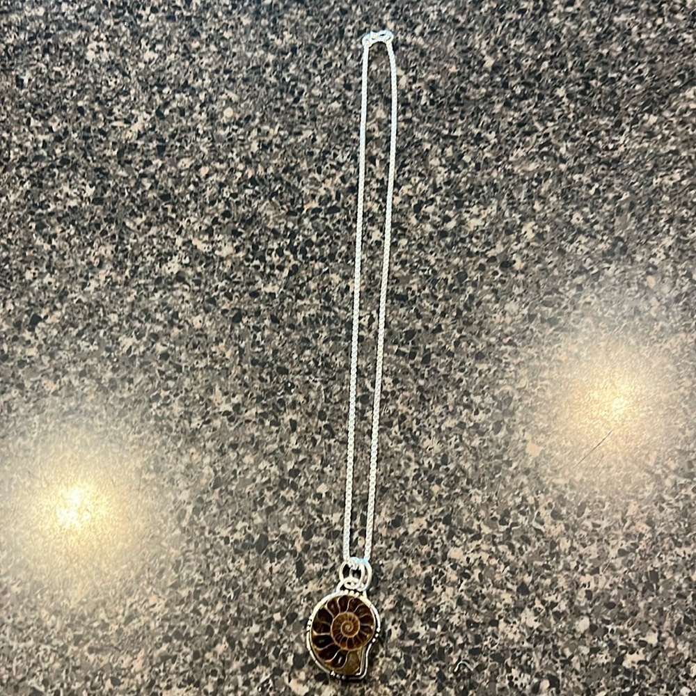 Shell necklace